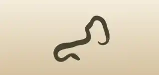 ヘビ