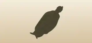 騎士
