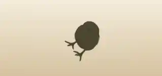 鳥