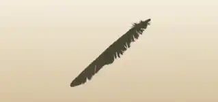 鳥の羽