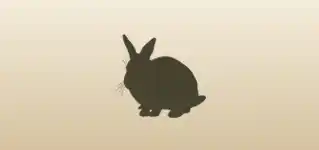 うさぎ