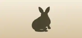 うさぎ