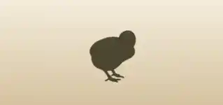 鳥