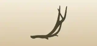角