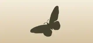 ちょう