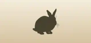 うさぎ