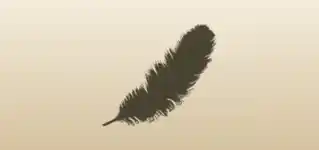 鳥の羽