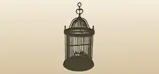 Birdcage