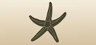 Starfish