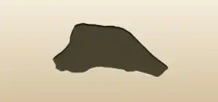 Pirate Hat