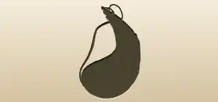 Wineskin