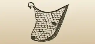 Net