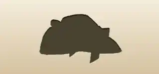 Pirate Hat