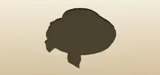 Women’s Hat