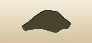 Pirate Hat