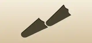 Flippers