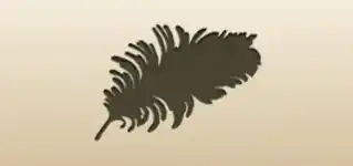 Peacock Feather