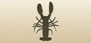 Lobster