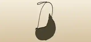 Wineskin