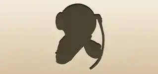 Diving Helmet