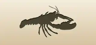 Lobster