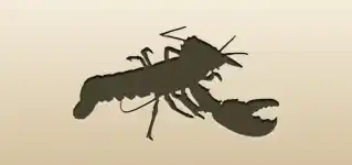 Lobster