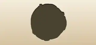 キャベツ