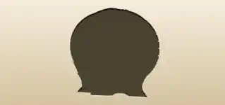 たる