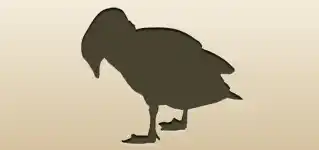 ガチョウ