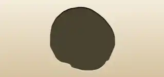 キャベツ
