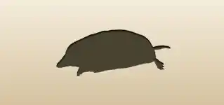 モグラ