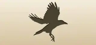 カラス