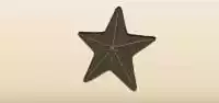 スター