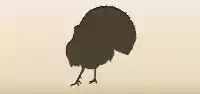 七面鳥