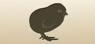 ひよこ