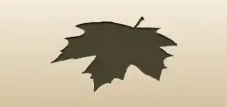 カエデの葉