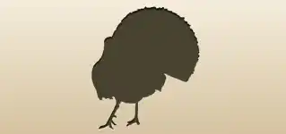 七面鳥