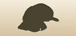 イヌ
