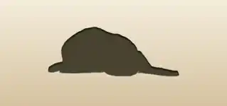 イヌ