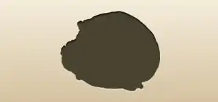 キャベツ