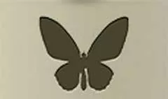 蝶