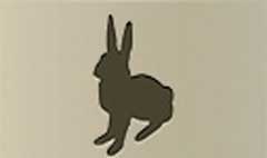 Hare silhouette #1
