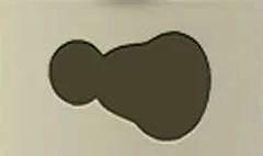 ワイングラス