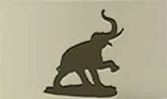 象
