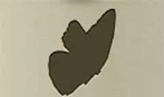 蝶