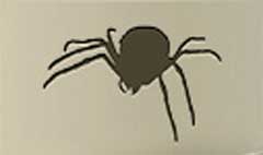 Spider silhouette #1