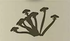 キノコのシルエット