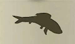 魚のシルエット