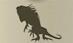 Iguana silhouette