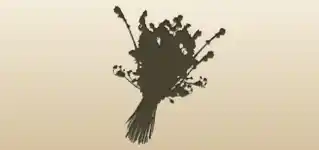 Dried Flowers silhouette